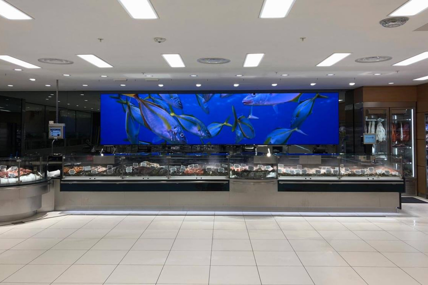 Bandeaux LED intérieurs, poissonnerie Ajaccio | © Vega France