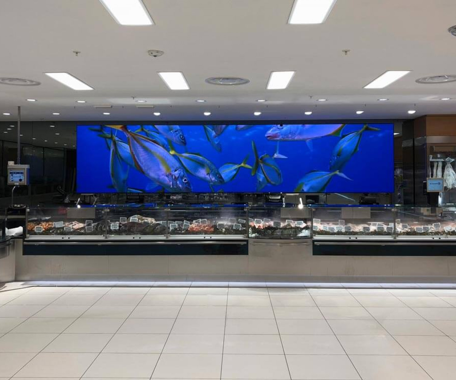 Bandeaux LED intérieurs, poissonnerie Ajaccio | © Vega France